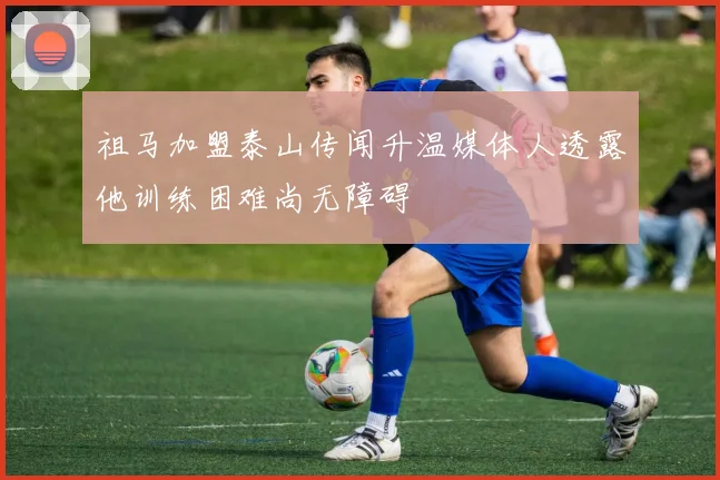 祖马加盟泰山传闻升温媒体人透露他训练困难尚无障碍