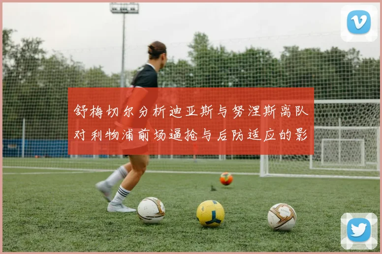 舒梅切尔分析迪亚斯与努涅斯离队对利物浦前场逼抢与后防适应的影响