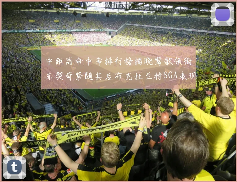 中距离命中率排行榜揭晓莺歌领衔东契奇紧随其后布克杜兰特SGA表现不俗