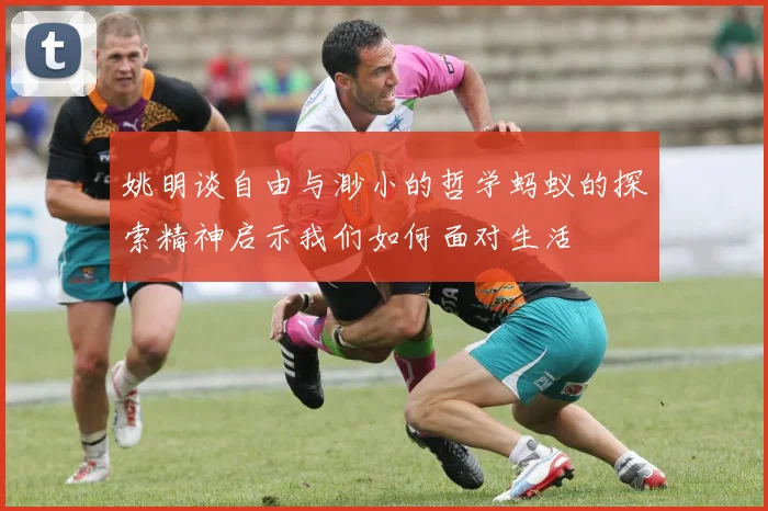 姚明谈自由与渺小的哲学蚂蚁的探索精神启示我们如何面对生活