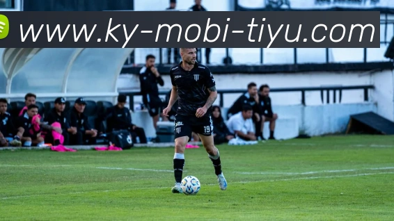 开云体育平台生态图