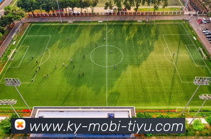 开云体育全站App